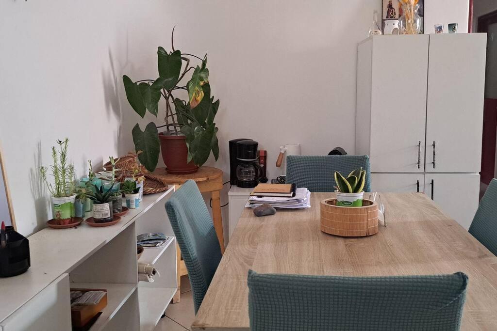 Mendes Family Homestay - B&B In The Heart Of Praia Ngoại thất bức ảnh