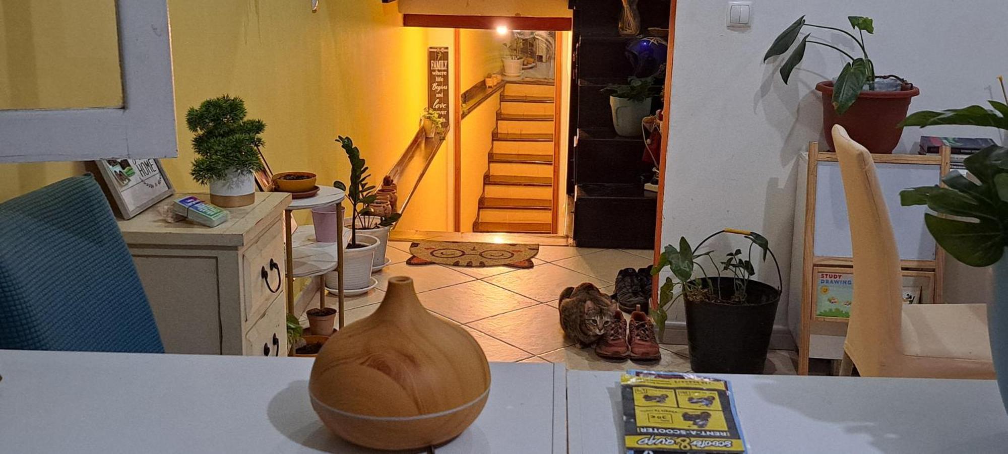 Mendes Family Homestay - B&B In The Heart Of Praia Ngoại thất bức ảnh